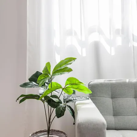 Appartement Cozy & New Next To Turia Gardens Valencia